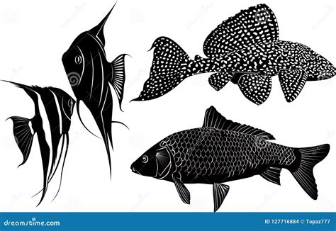 9+ Fish Silhouettes .